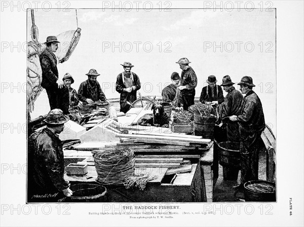 Baiting trawls on deck of Gloucester haddock schooner Mystic