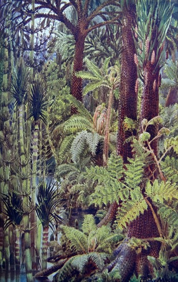 Painting depicting the gigantic vegetation of the carboniferous age