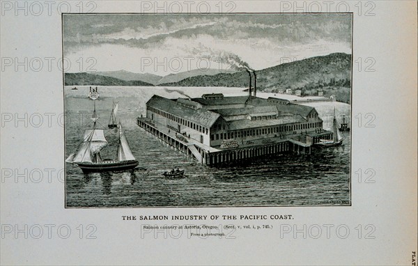 Salmon cannery