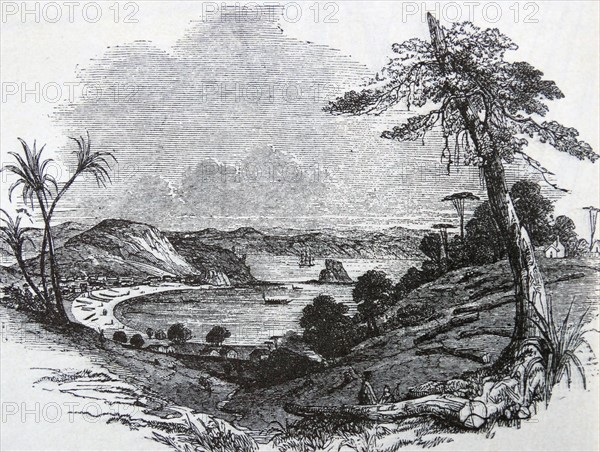 Scene of the Maori trouble