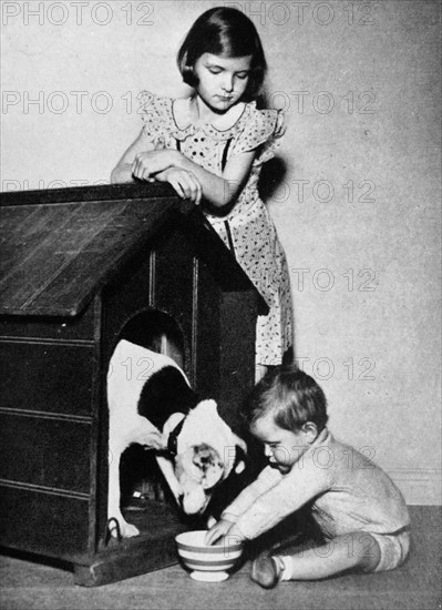 A brother and sister playing with their pet dog