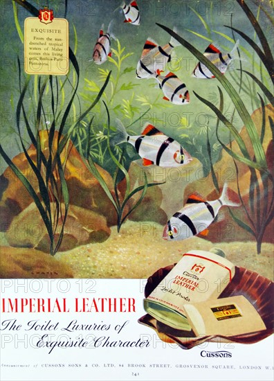 Advert for Imperial Leather Soap