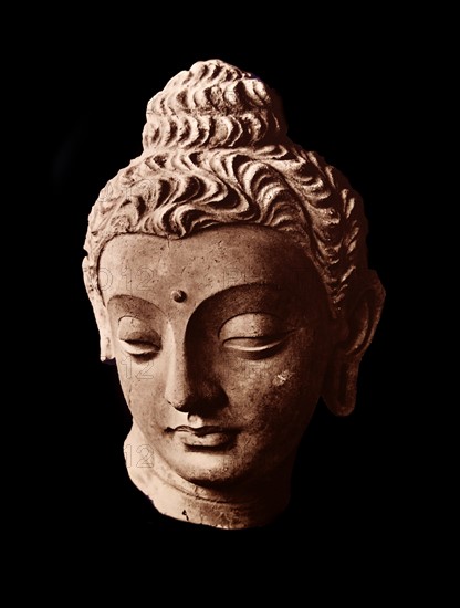 Head of the Buddha