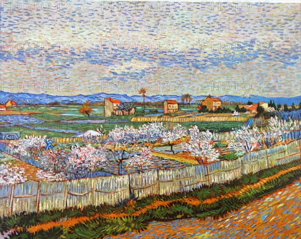 Van Gogh, La Crau with Peach Trees in Blossom