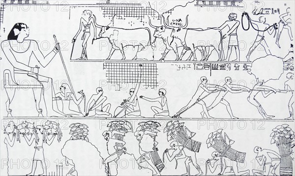 Freize depicting cattle