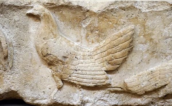 Frieze from Xanthos depicting wild fowl