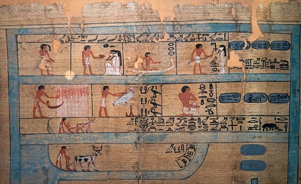 Book of the Dead papyrus of the scribe Userhat