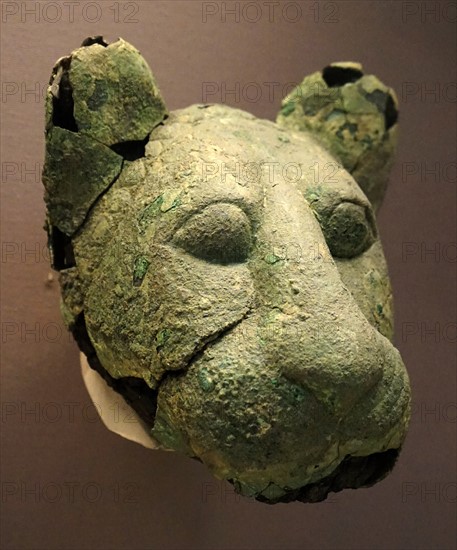 Copper alloy head a lion