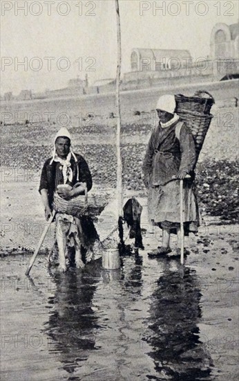 mussel gatherers off the coast of Normandy