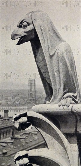 the Gargoyles on the west front of the Cathedral of Notre-Dame