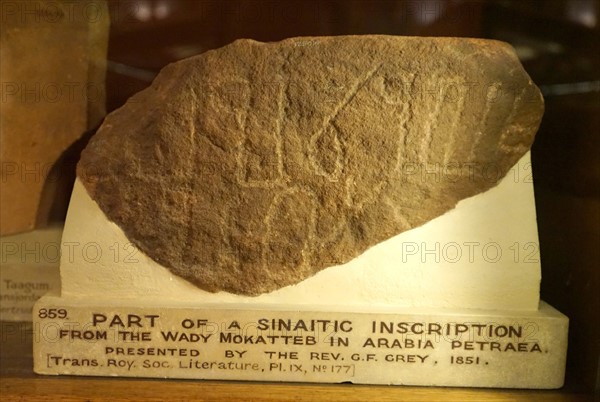 Fragment of a Sinaitic inscription from the Wady Mokatteb in Arabia Petrae