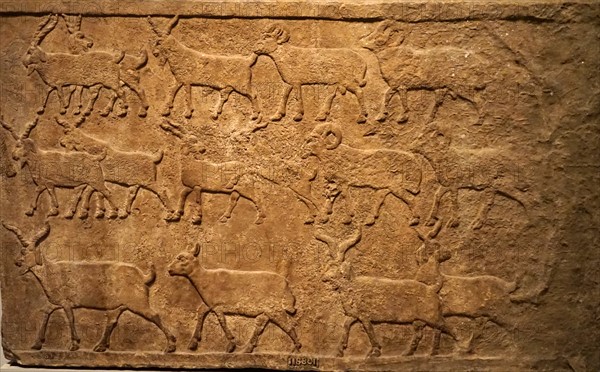 Assyrian wall plaques