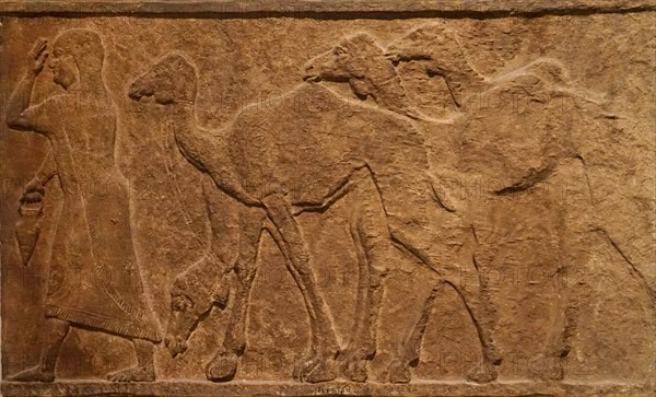 Assyrian wall plaques