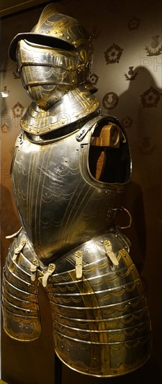 Example of Field Armour Garniture & Half Shaffron