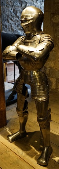 Example of Maximilian armour