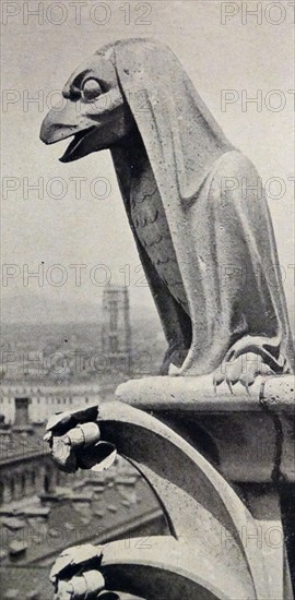 The Gargoyles on the west front of the Cathedral of Notre-Dame