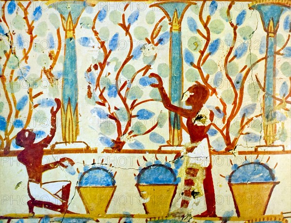 Egyptian tomb wall painting