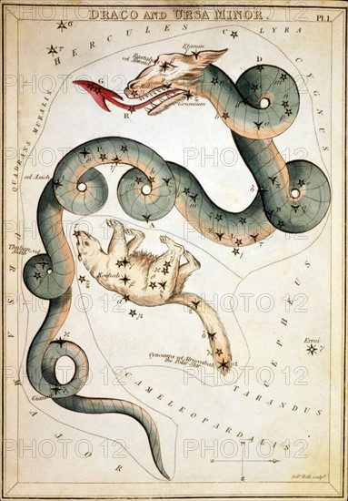 Draco and Ursa Minor by Sidney Hall, Sidney, etcher Published 1825.