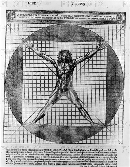 Male human body on a grid within a circle.by Vitruvius Pollio and Leonardo da Vinci