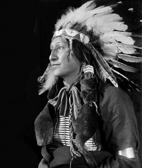 Joe Black Fox by Photographer Gertrude Käsebier