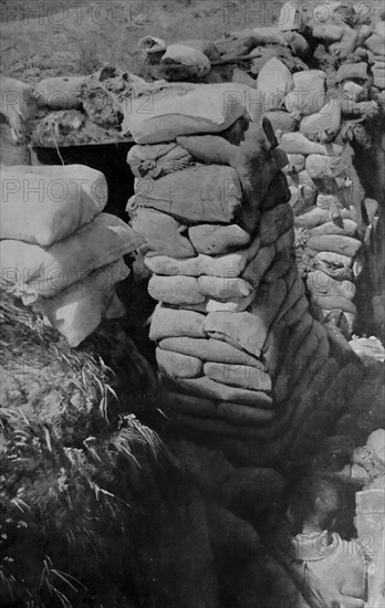 French casualties lie dead in trenches.