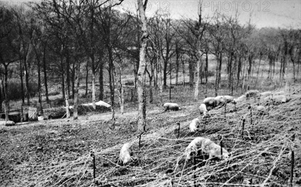 WWII: French army barbed wire (chevaux de frise) fences at a front line position 1940