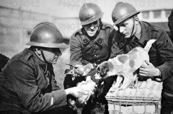 WWII: British soldier carries chicks in his helmet at a front line position 1940