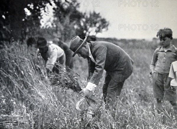 Mussolini working on a farm