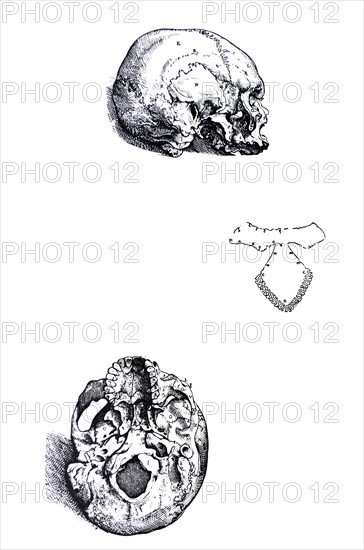 Plates from the First Book of the De Humani Corporis Fabrica by Vesalius