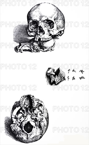 Plates from the First Book of the De Humani Corporis Fabrica by Vesalius