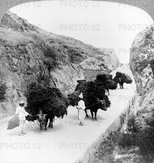 Traders on their way to m market in Korea circa 1900