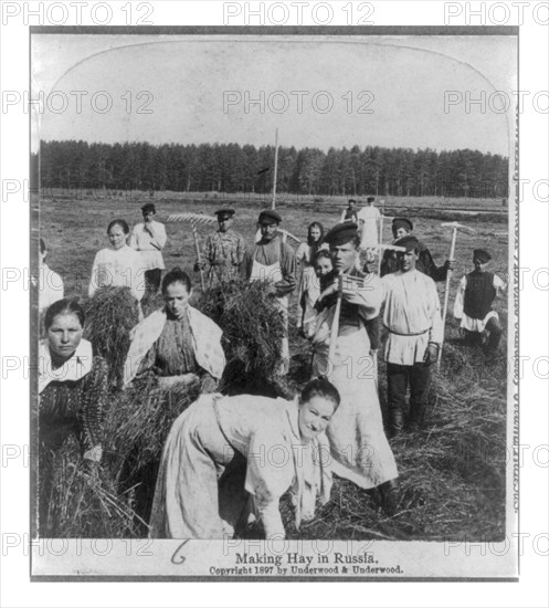 Making Hay in Russia