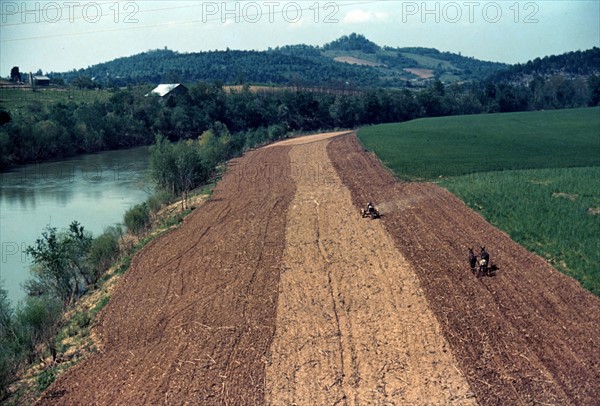 Planting Corn