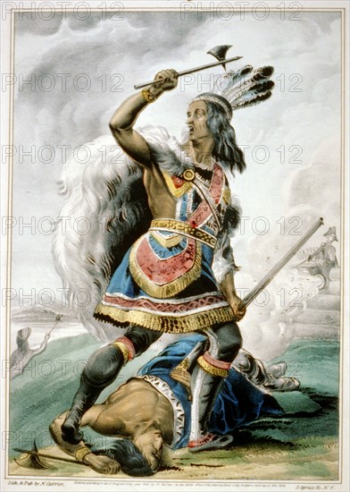 Indian Warrior