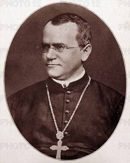 Gregor Johann Mendel by Renginald Crundell Punnet