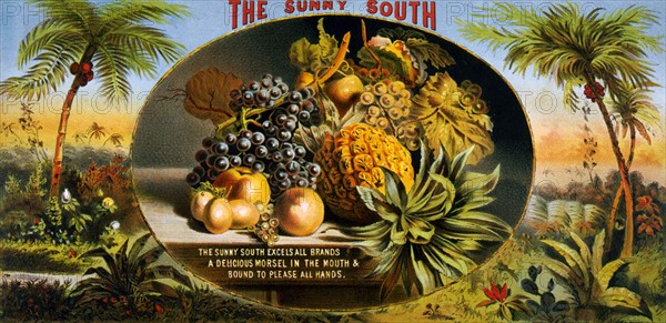 Advertisement for Sunny South fruit