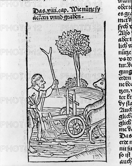 Farmer ploughing a field