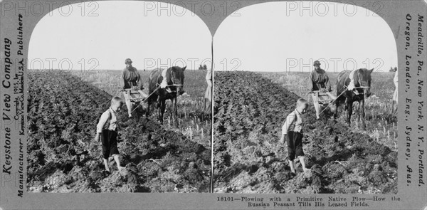 Ploughing with a primitive native plough