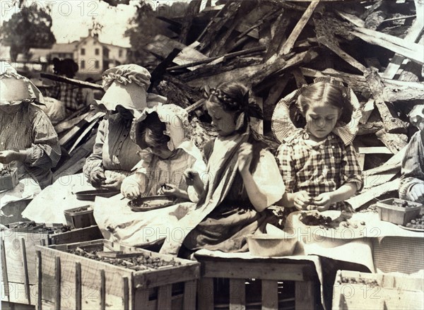 Group of child workers sorting fruit in the USA