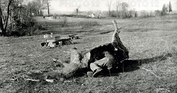 Photograph of a Soldier Demonstration Camouflage