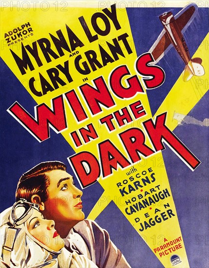 Wings in the Dark