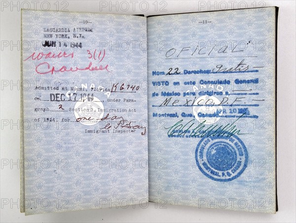 Canadian Passport issued to a British Royal Air Force pilot