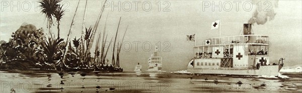 Thomas Cook cruise ships converted to use as hospital ships