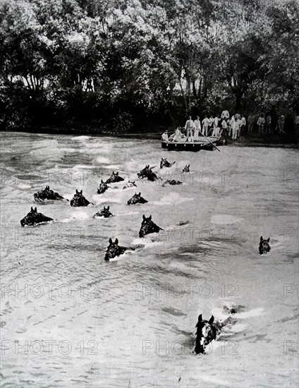 French engineers enable the crossing of military men and horses across a river during WWI