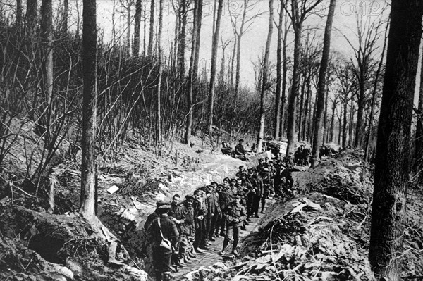 Canadian soldiers on the western Front  during WWI 1915