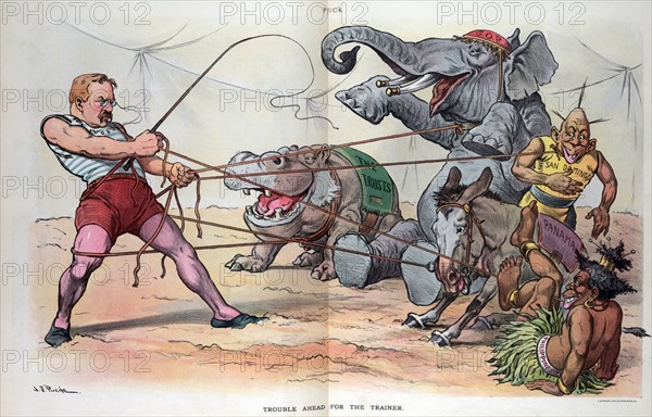 President Theodore Roosevelt as a trainer in a circus