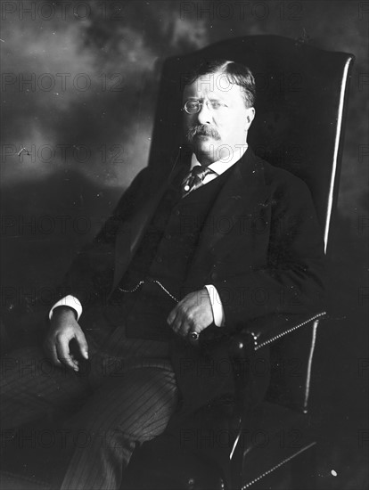 President Theodore Roosevelt