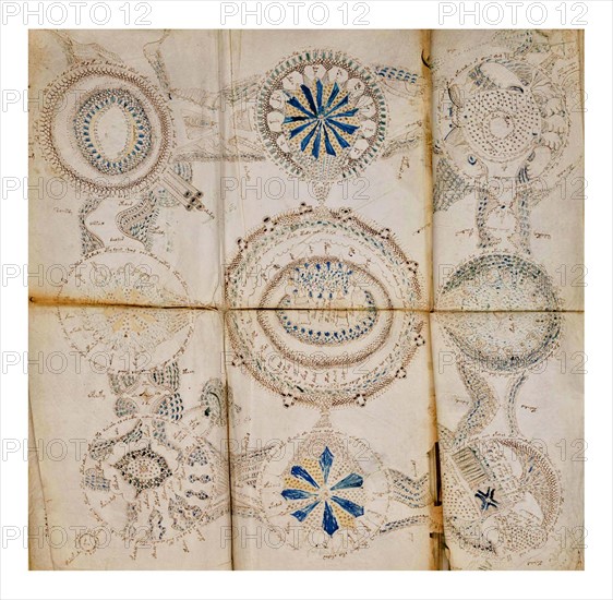 Page from The Voynich Manuscript