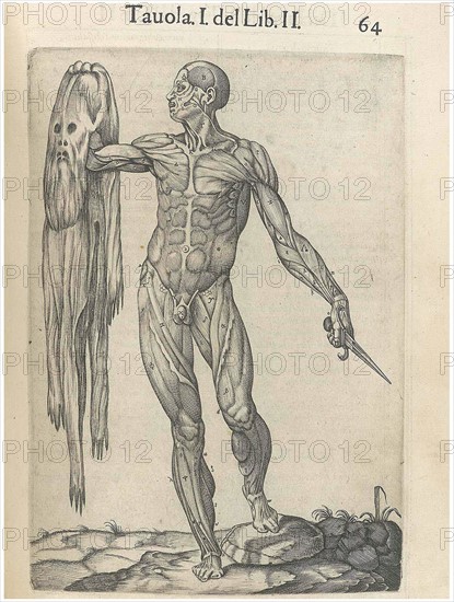 Print from "History of the composition of the human body"
