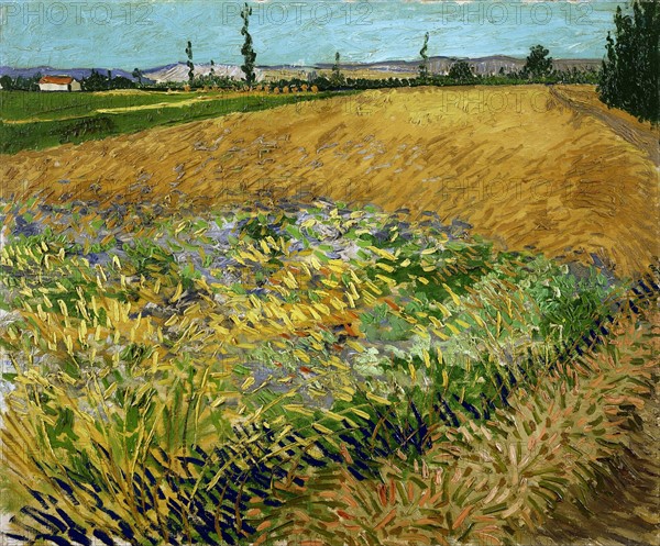 Painting titled "Wheat Field"